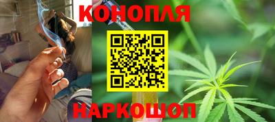 шишки Кинель