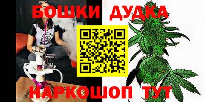 шишки Кинель