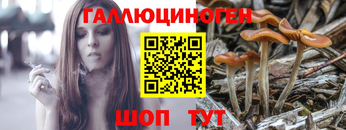 Псилоцибиновые грибы Cubensis  Вход с VPN  купить наркотик  Ефремов 